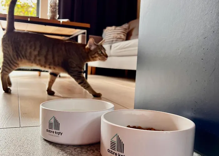 Tatil Evi Dobre Katy Caloroczne *