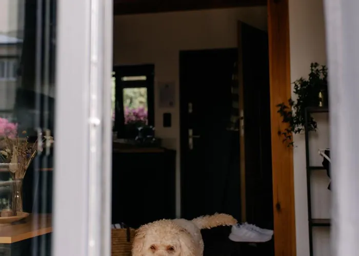 Hébergement de vacances Dobre Katy Caloroczne