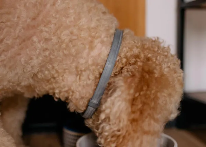 Dobre Katy Caloroczne Tatil Evi Kąty Rybackie